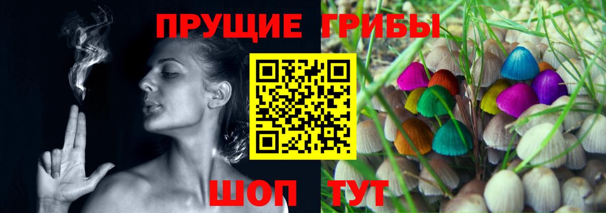 Галлюциногенные грибы Cubensis Бор