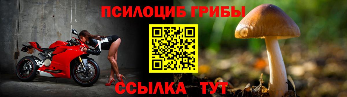 Бор  Псилоцибиновые грибы MAGIC MUSHROOMS  Галлюциногенные грибы Cubensis  Вход с VPN 